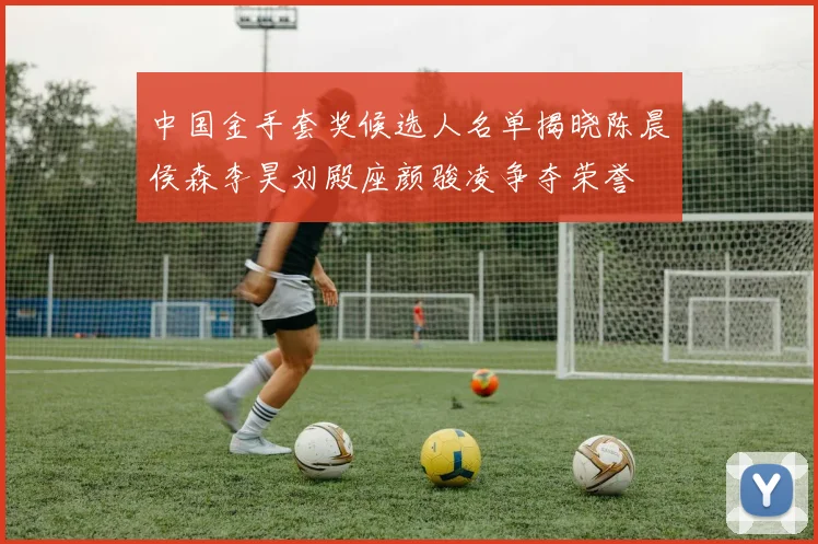 中国金手套奖候选人名单揭晓陈晨侯森李昊刘殿座颜骏凌争夺荣誉