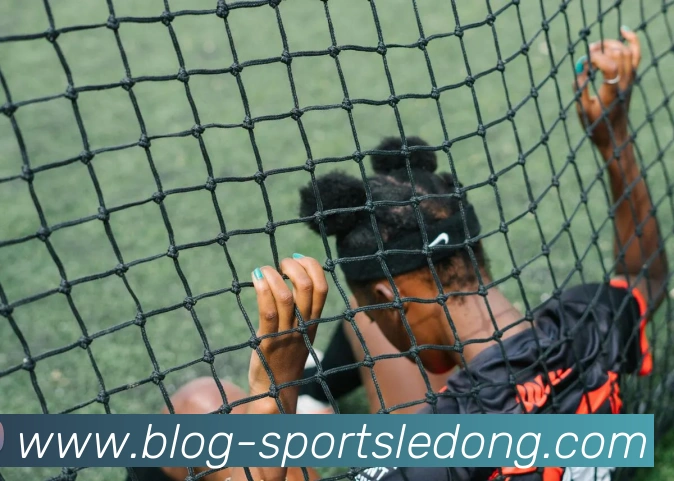 乐动体育发展历程